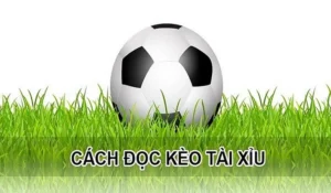 Hướng Dẫn Cách Chơi Kèo Tài Xỉu Bóng Đá Tại Keovip.blog Chuẩn Xác